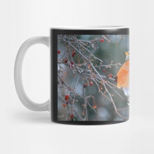 Robin in Winter #3 Mug